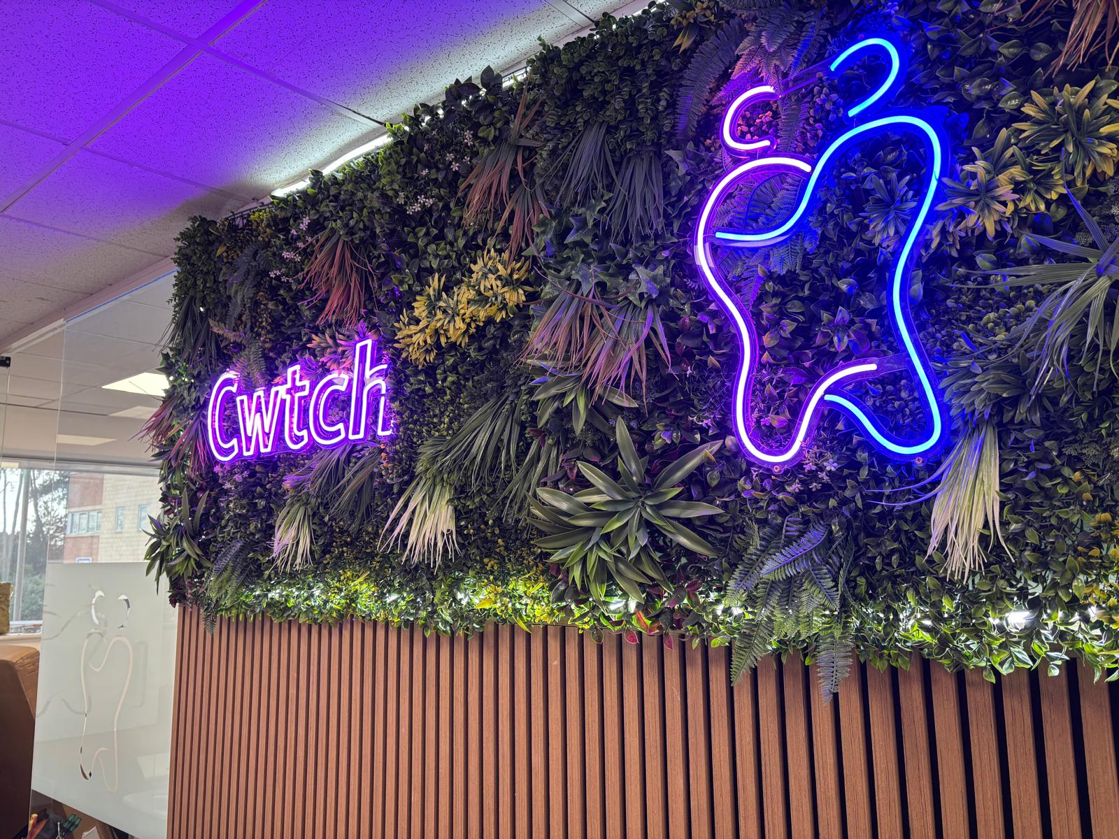 Cwtch Dental Practice Main View